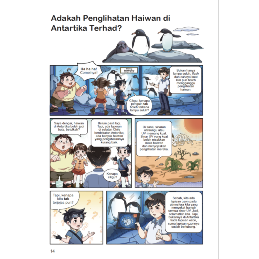 WHITE BACKGROUND (23)