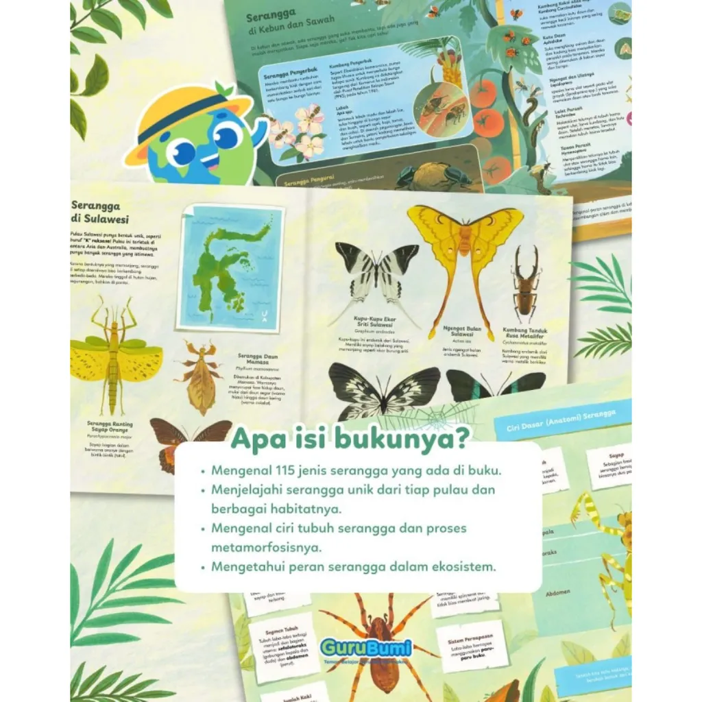 Paparan tambahan 3 untuk buku Ensiklopedia Serangga Indonesia: Makhluk kecil dengan Peran Besar - Buku Indonesia