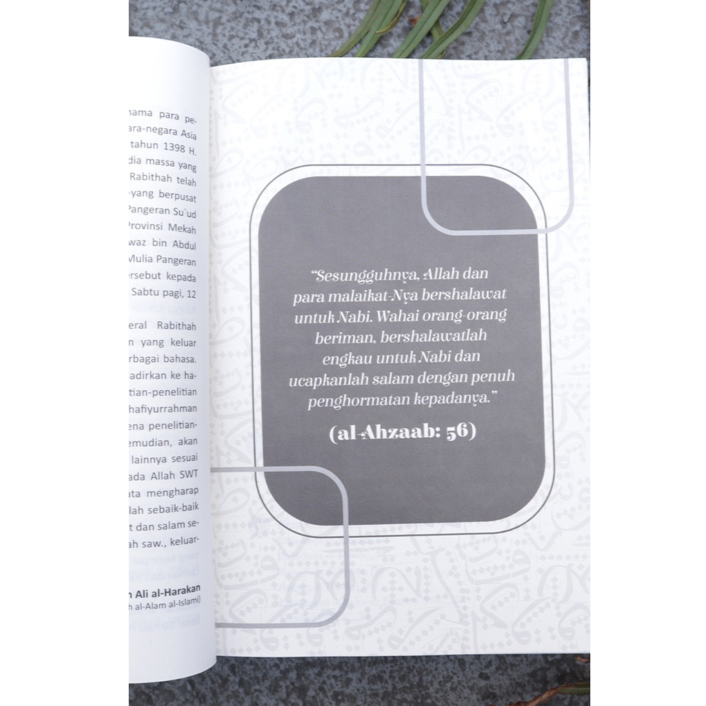 PHOTO (5)