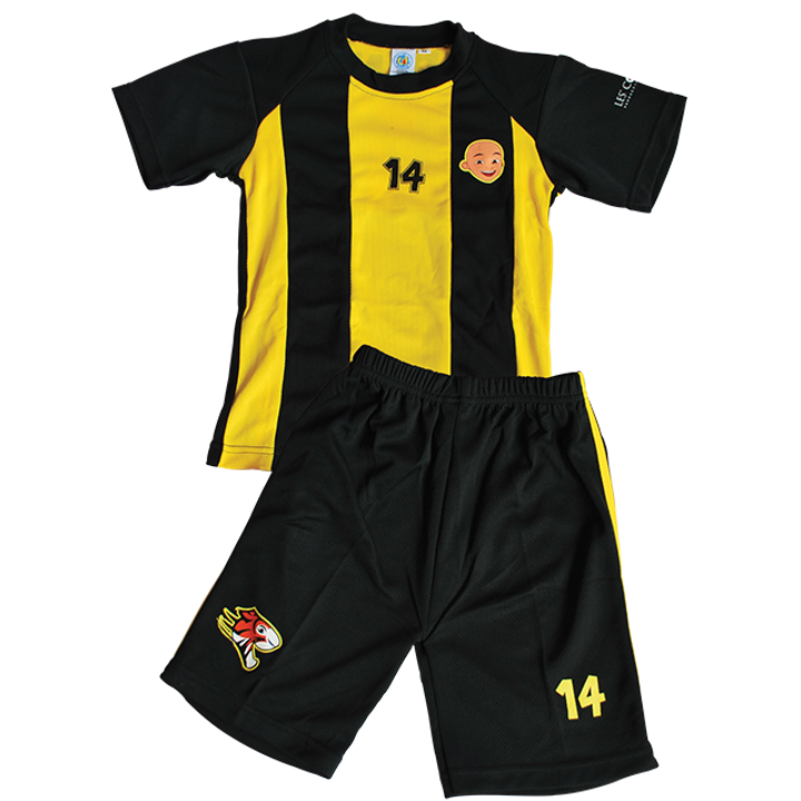 Jersey_Ipin14_front