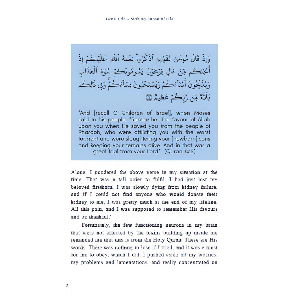 Copy of WHITE BACKGROUND MIRUL - 2025-11-04T104924.325