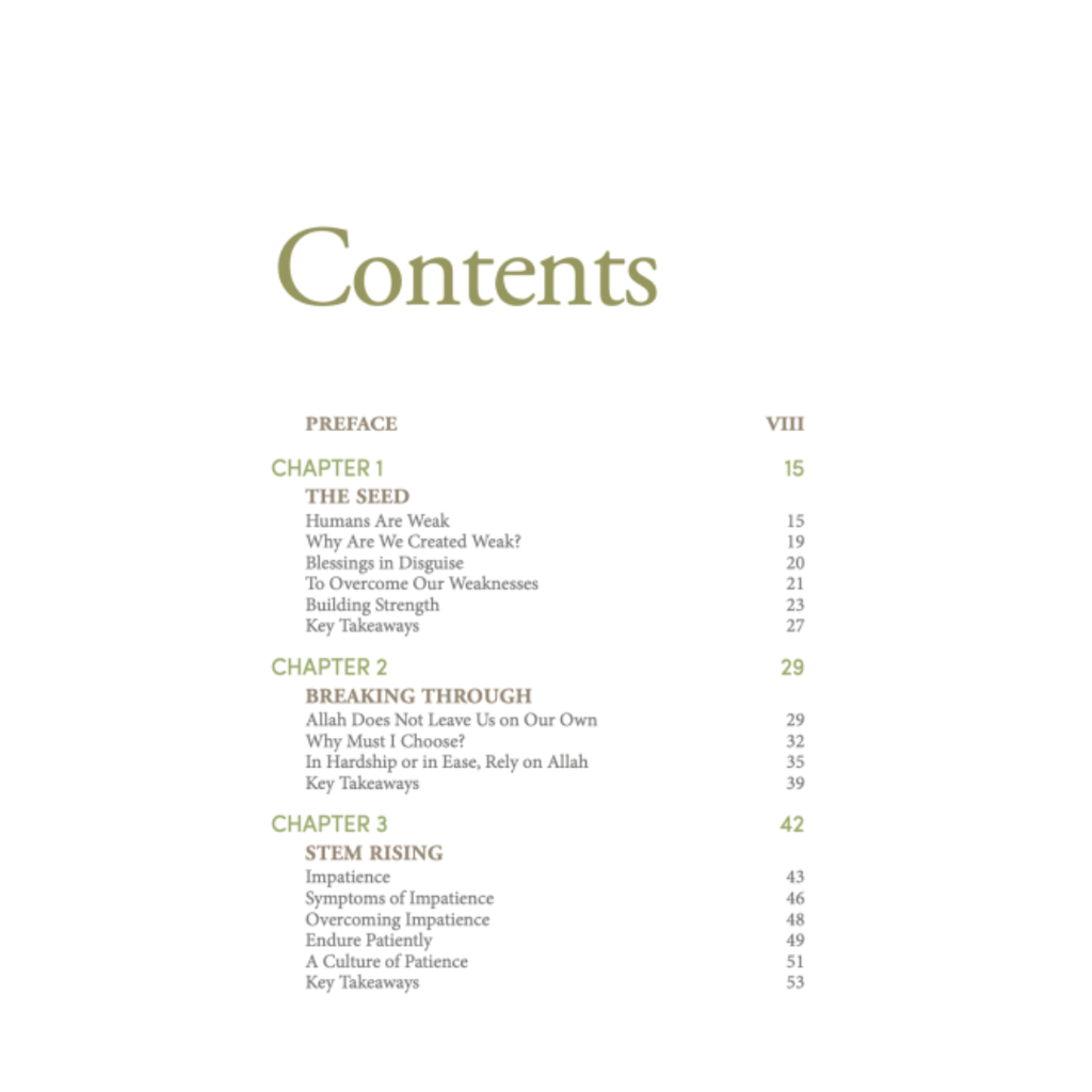 Copy of WHITE BACKGROUND MIRUL - 2025-11-04T120254.879