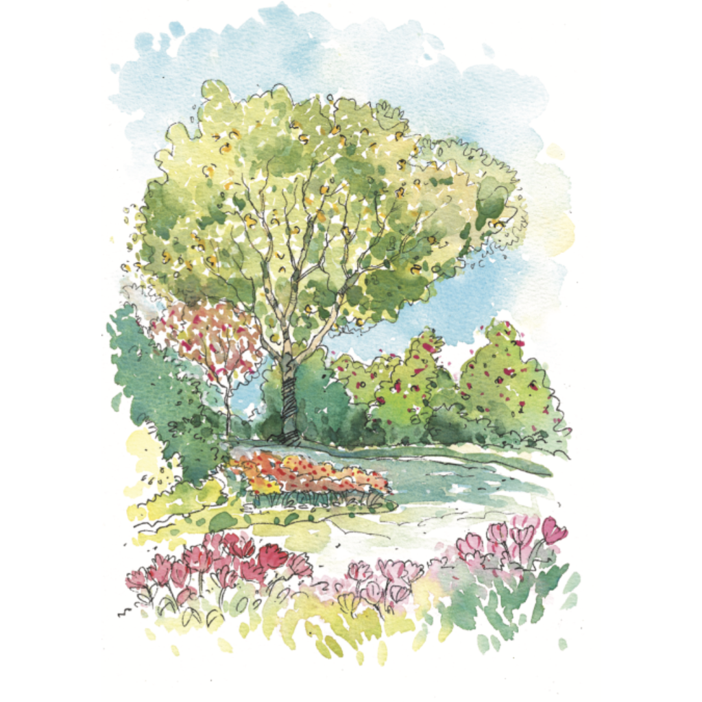 Copy of WHITE BACKGROUND MIRUL - 2025-11-04T120509.187