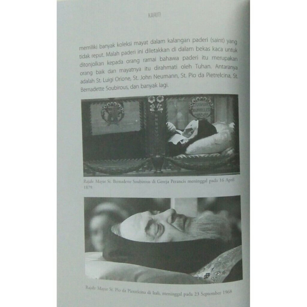 Copy of WHITE BACKGROUND MIRUL - 2025-11-05T091801.525