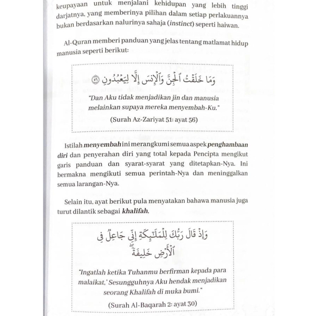 Copy of WHITE BACKGROUND MIRUL - 2025-11-05T111741.604