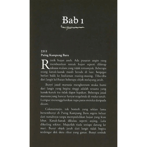 WHITE BACKGROUND MIRUL (80)