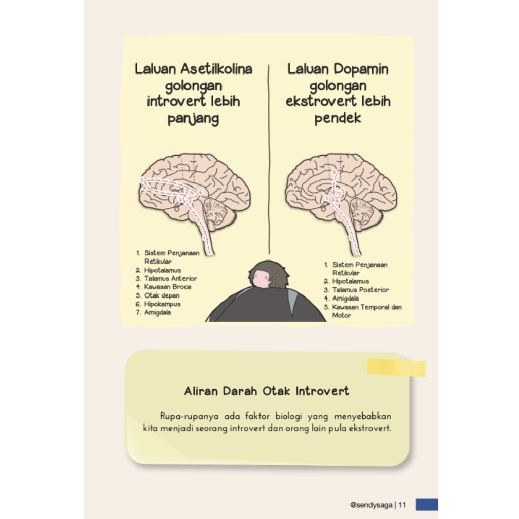 WHITE BACKGROUND MIRUL - 2025-12-03T153950.264