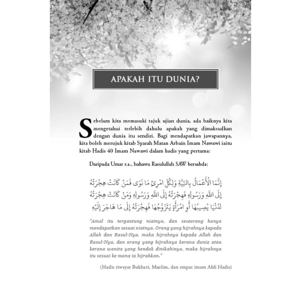 WHITE BACKGROUND MIRUL - 2025-12-05T161937.098