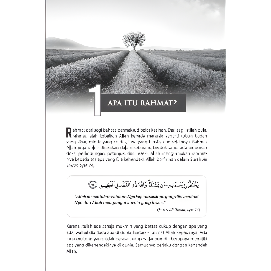 WHITE BACKGROUND MIRUL - 2025-12-06T155933.297