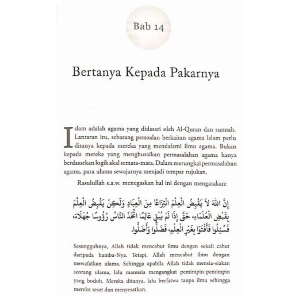 WHITE BACKGROUND MIRUL (77)