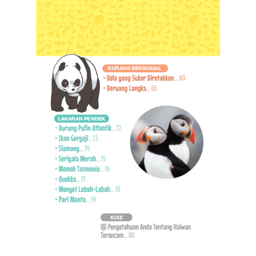 WHITE BACKGROUND MIRUL (83)