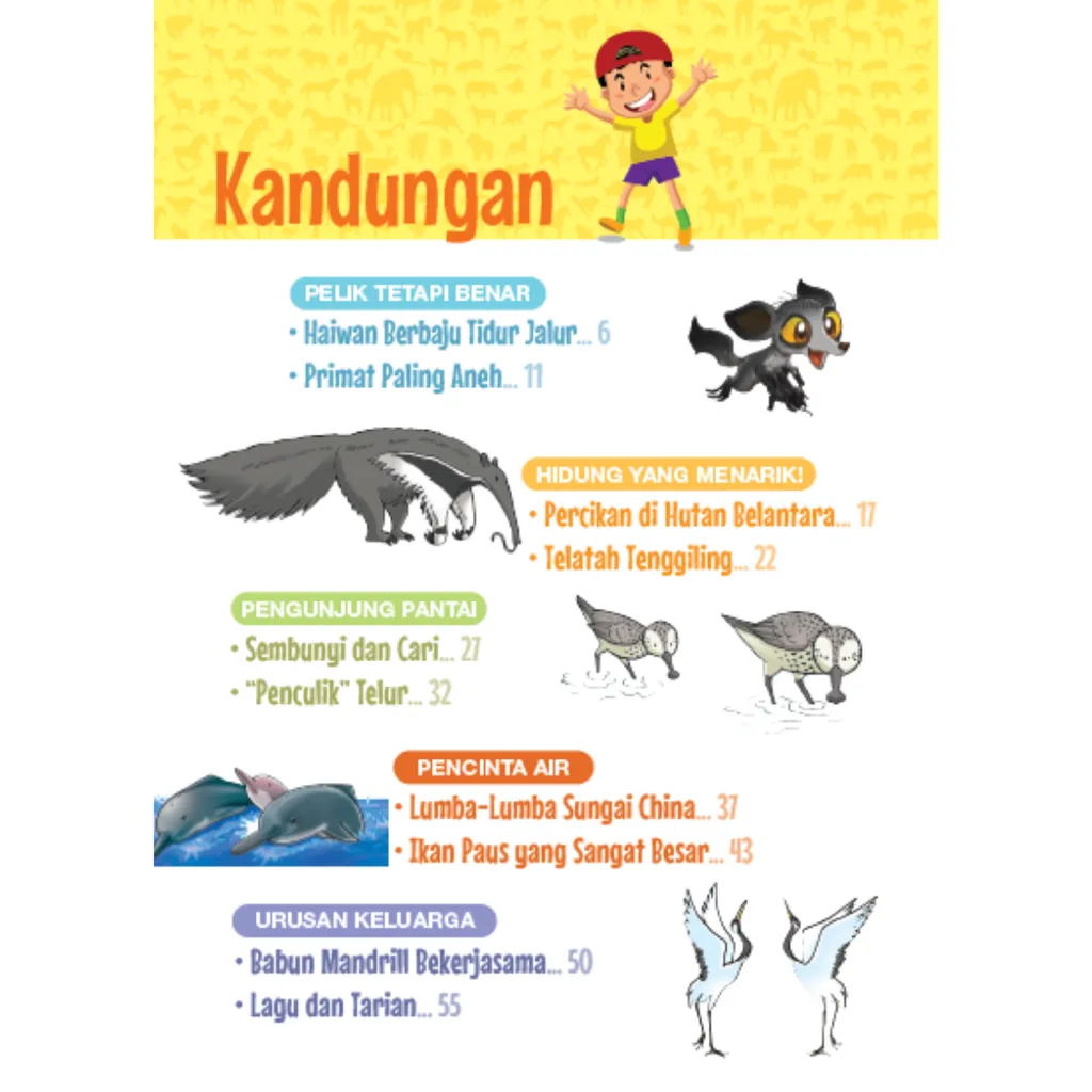 WHITE BACKGROUND MIRUL (84)