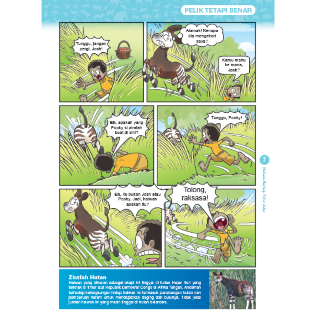 WHITE BACKGROUND MIRUL (81)