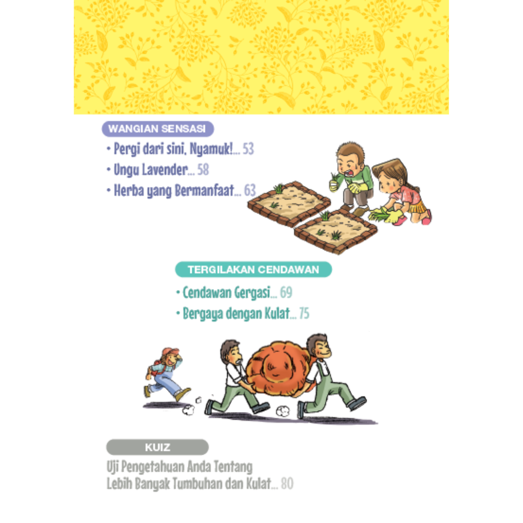 WHITE BACKGROUND MIRUL (96)