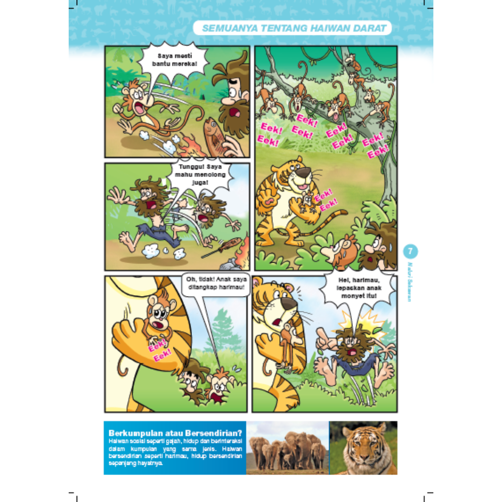 WHITE BACKGROUND MIRUL - 2025-12-08T125341.971