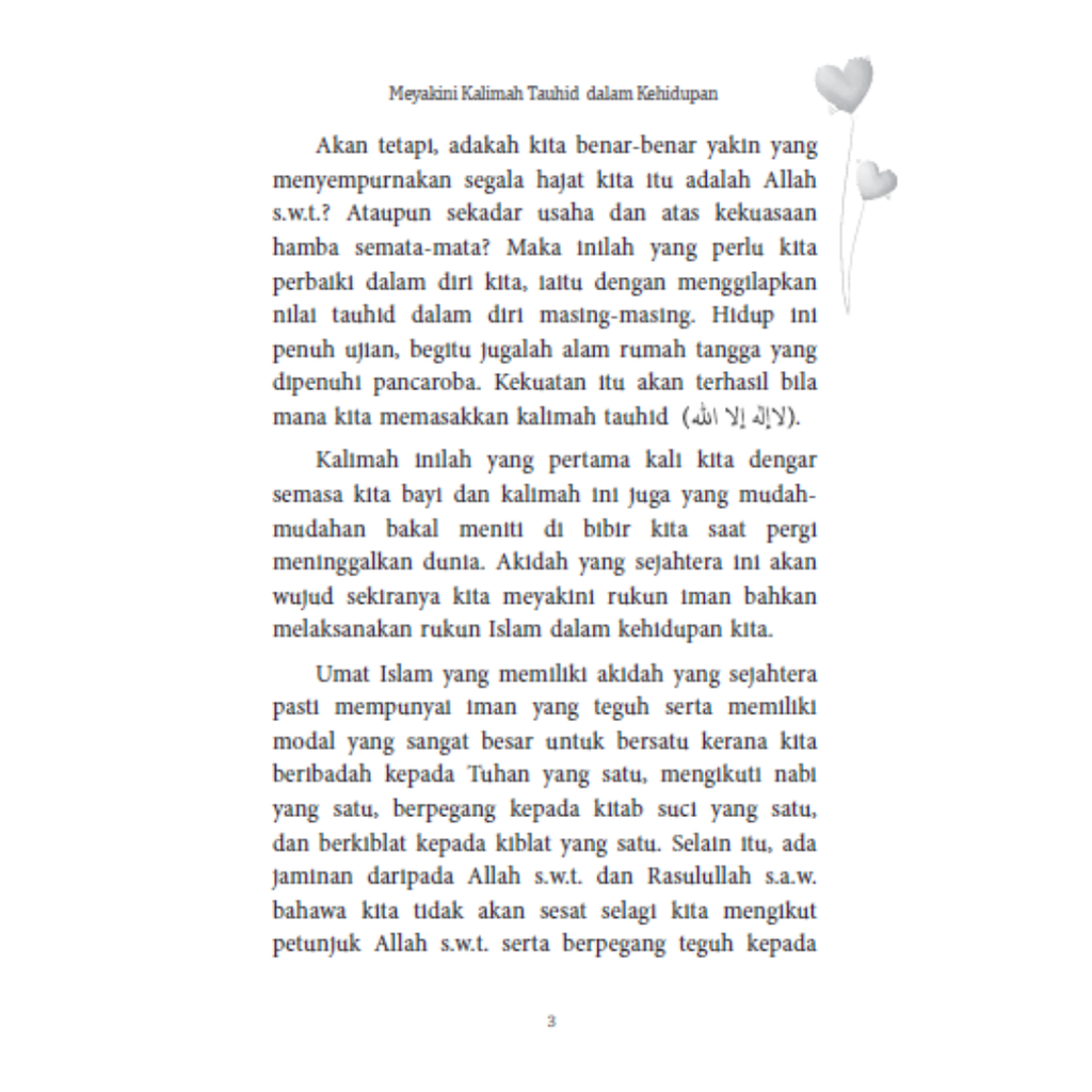 WHITE BACKGROUND MIRUL (21)