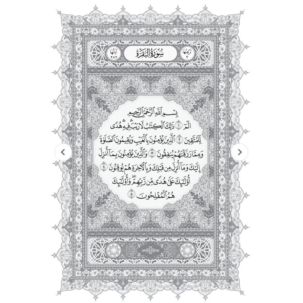 my-11134207-820lf-mjo1agsl1y4ja0