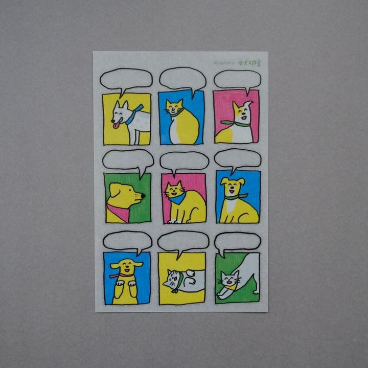 79865063