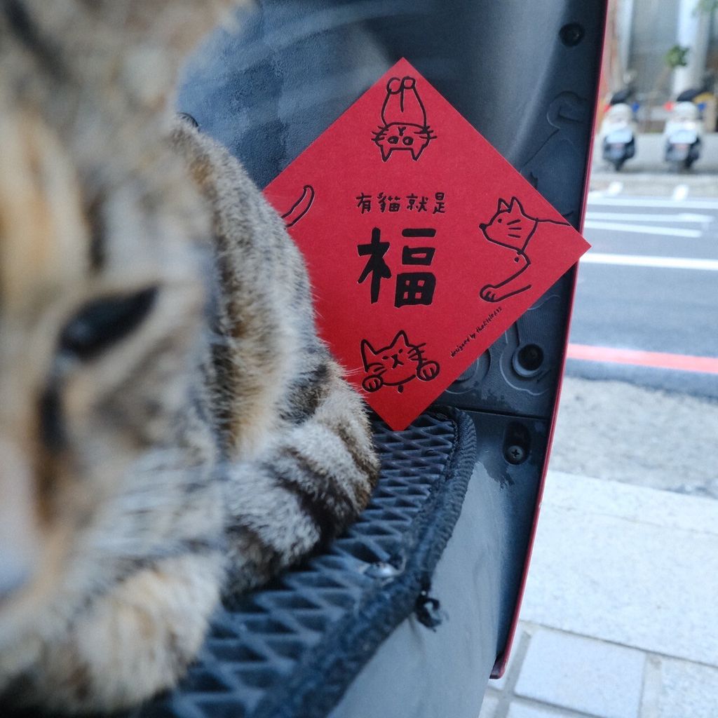 LINE_ALBUM_202514_250104_15