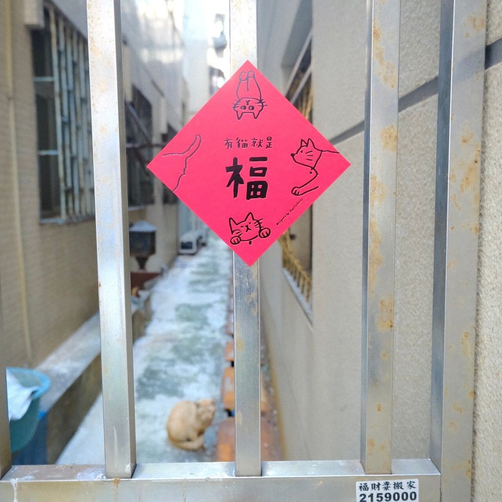 LINE_ALBUM_202514_250104_7