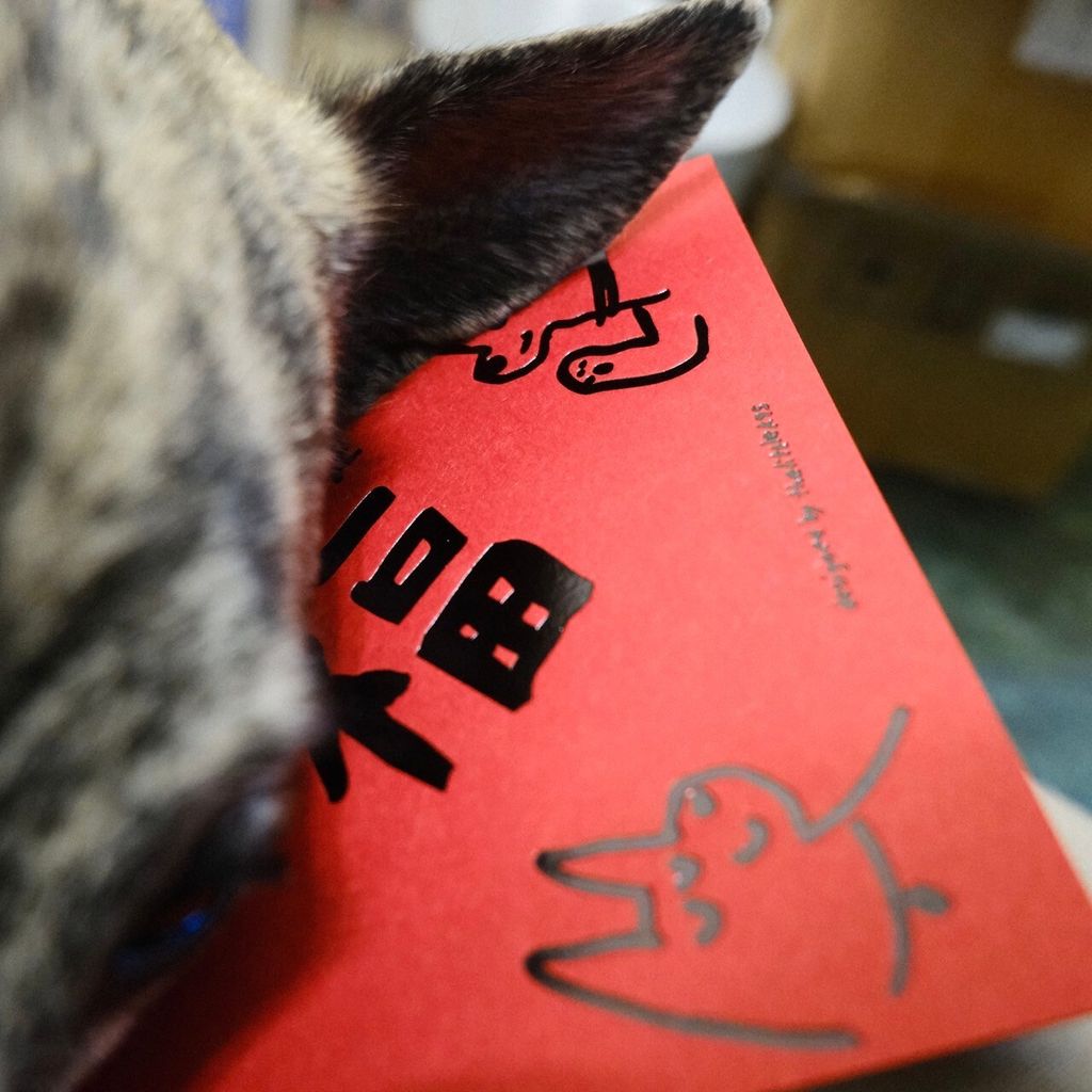 LINE_ALBUM_202514_250104_3