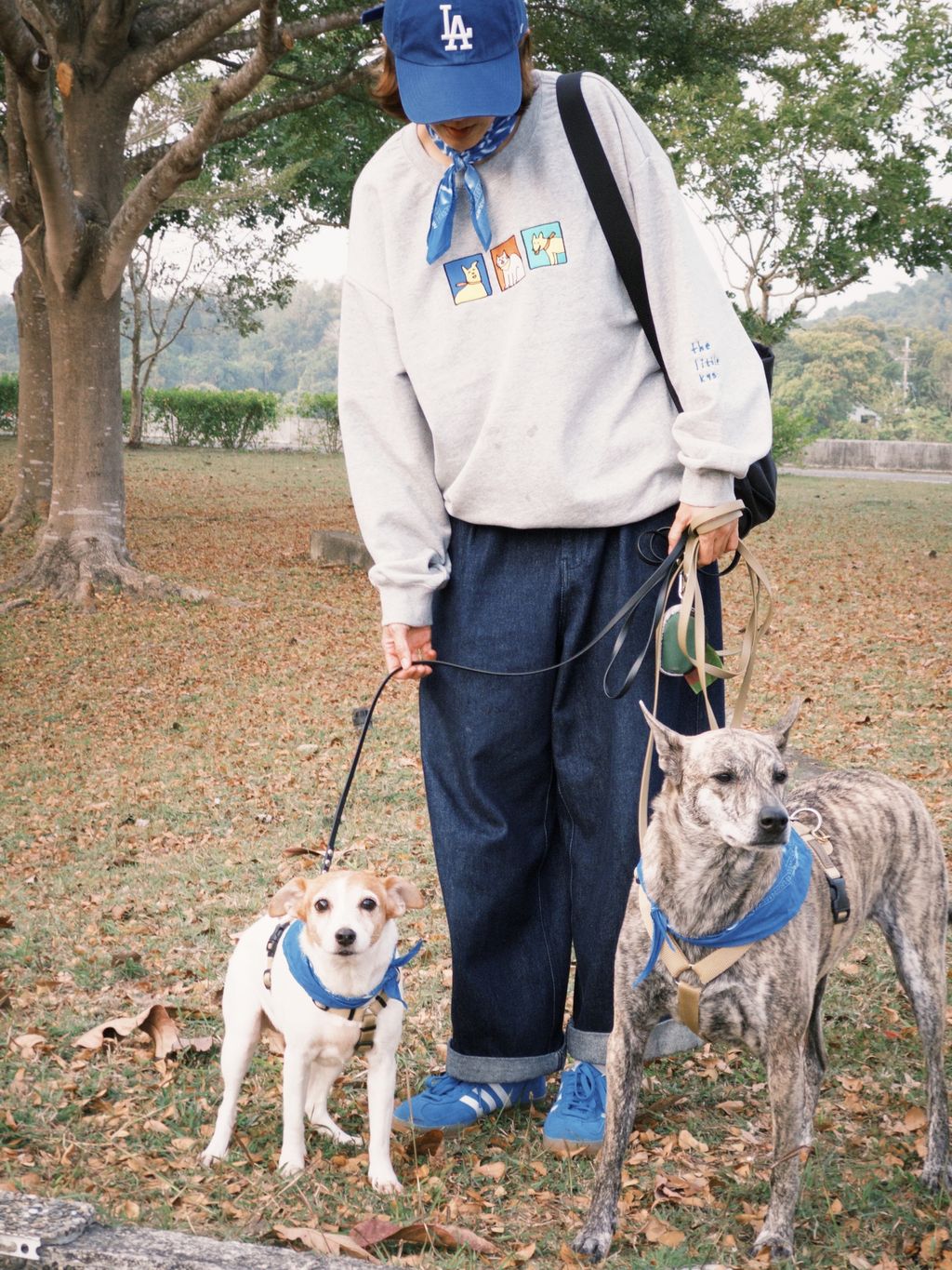 fxn 2025-02-07 170108.356