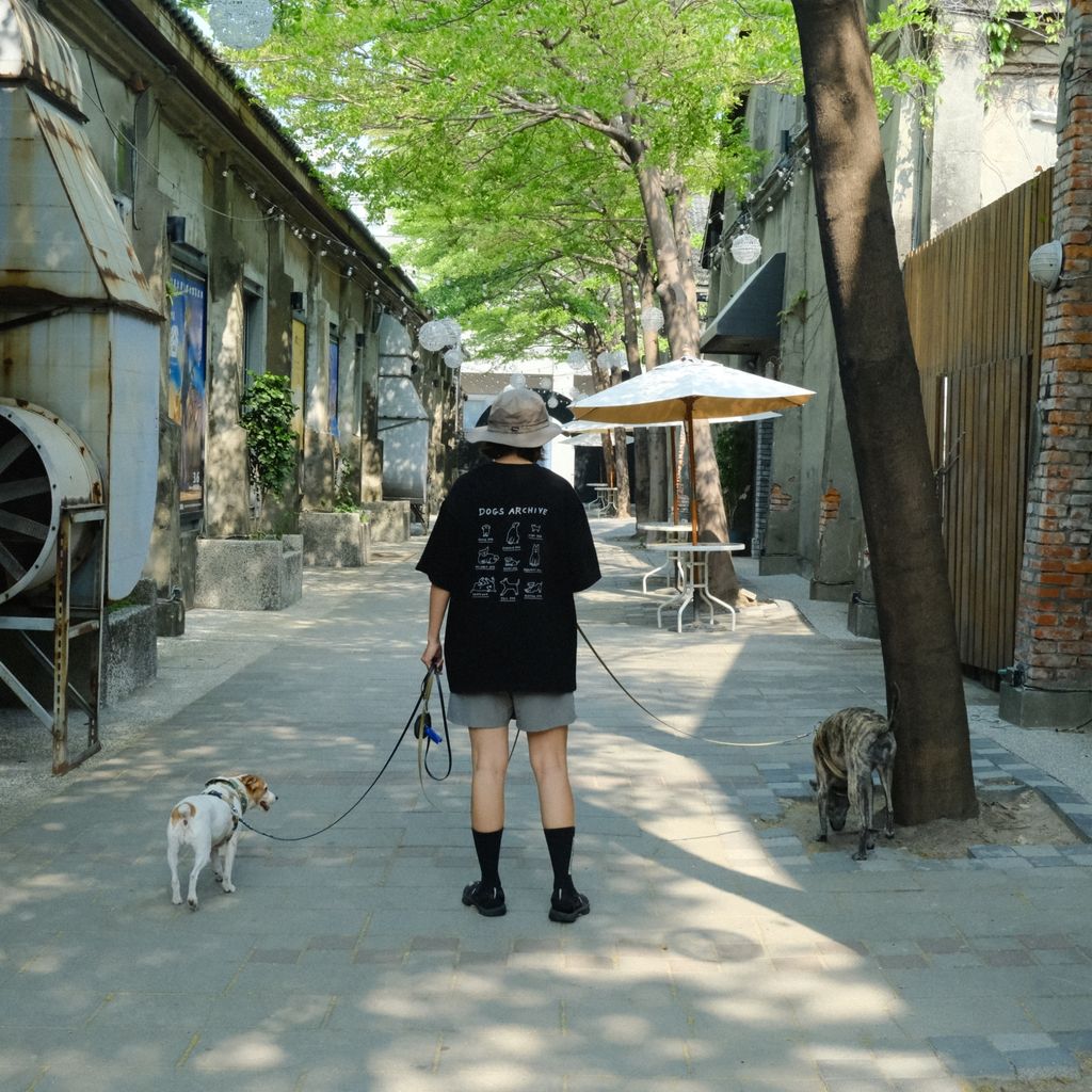 LINE_ALBUM_2025_官網上架_4月_250410_62