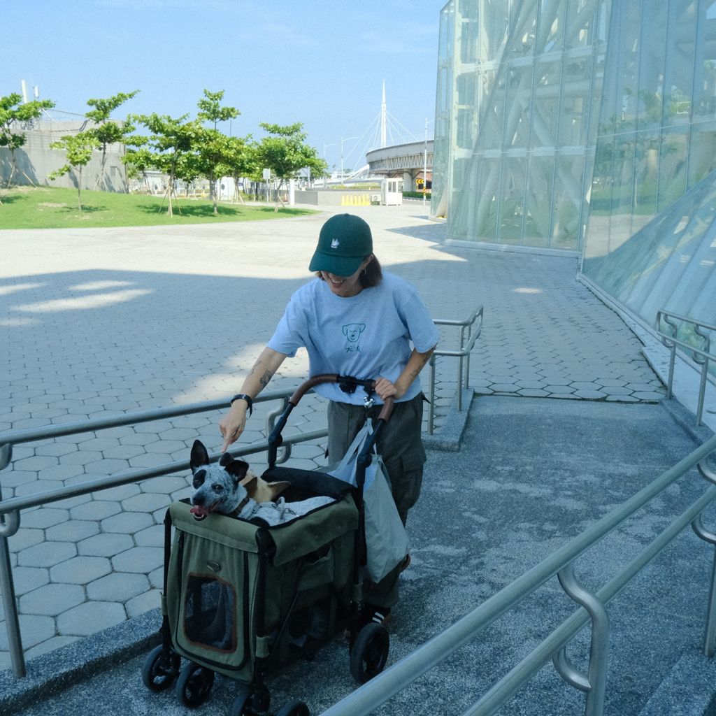 D924E984-0313-4CFD-99B7-81E4E72CEB18