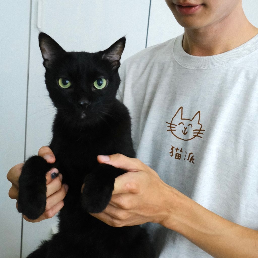 09E65FDD-F3CC-4DBA-AE7B-937CC78D17B4