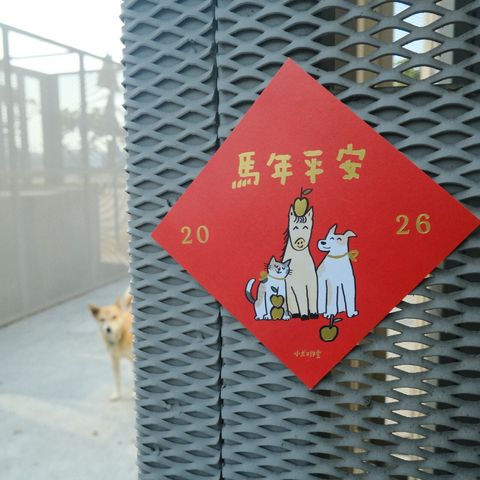 LINE_ALBUM_2026120_260120_40