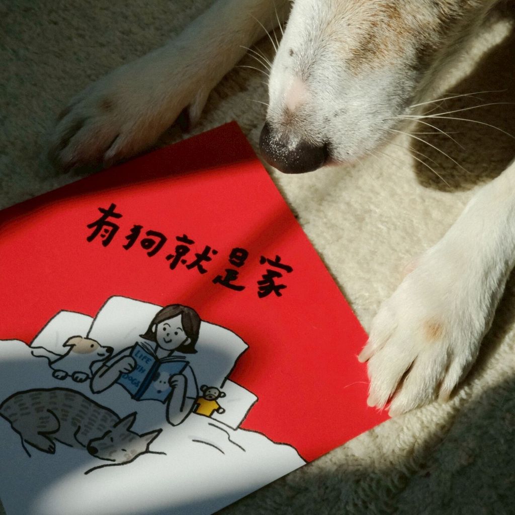 LINE_ALBUM_2026120_260120_66