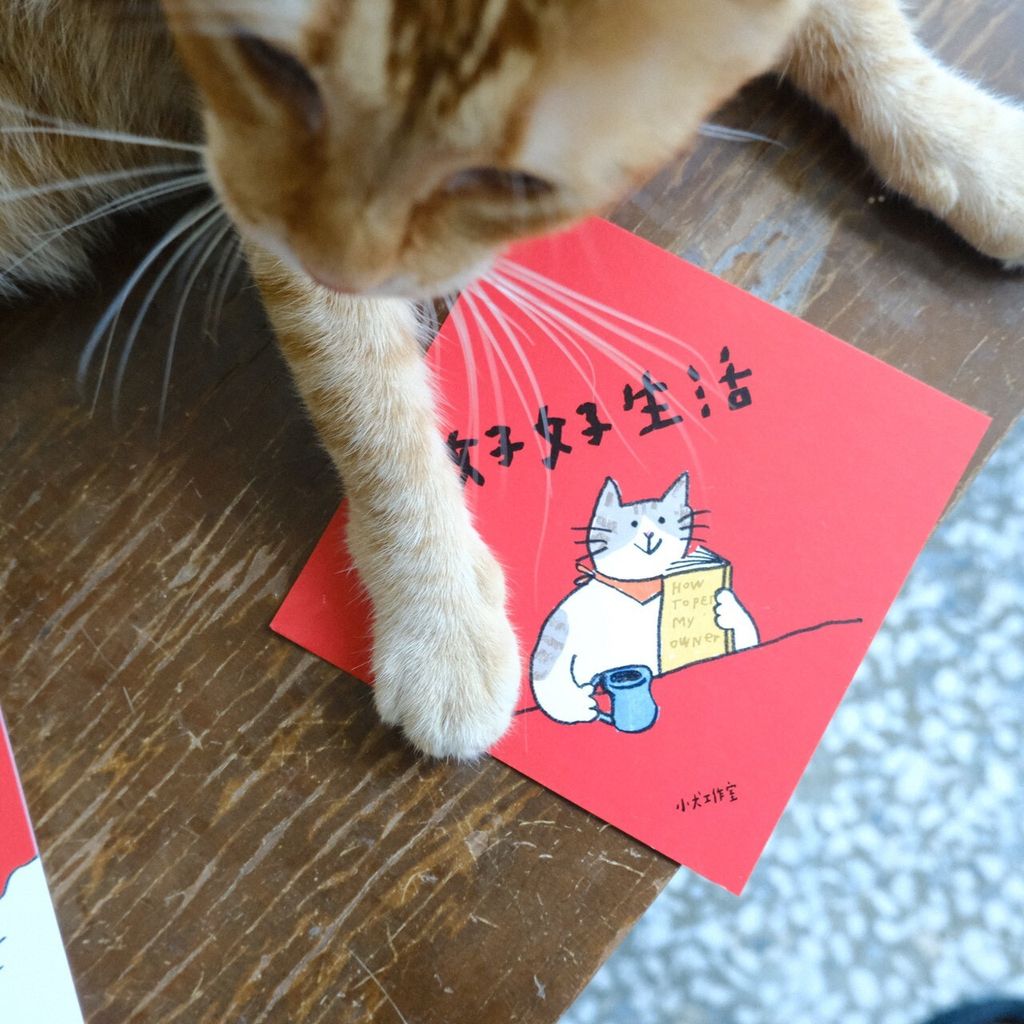 LINE_ALBUM_2026120_260120_28