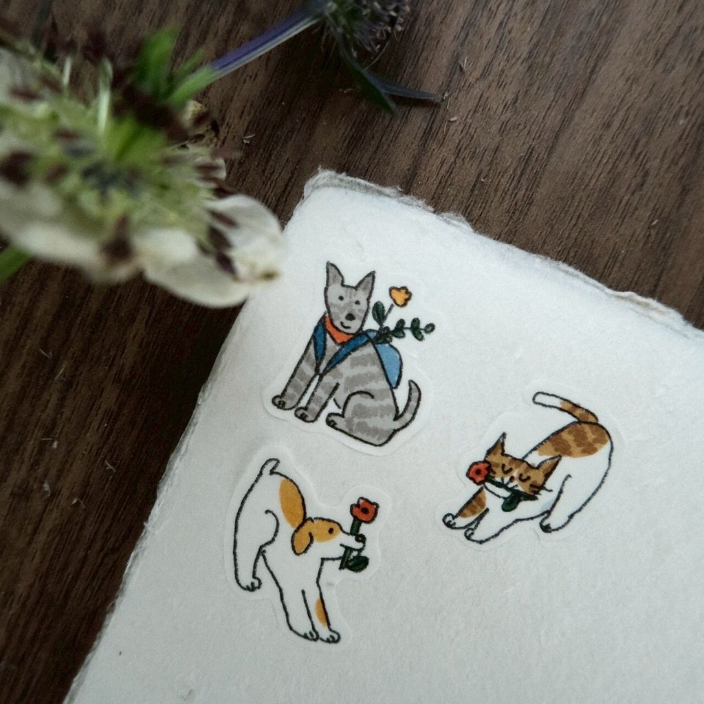 LINE_ALBUM_2026227_260227_6