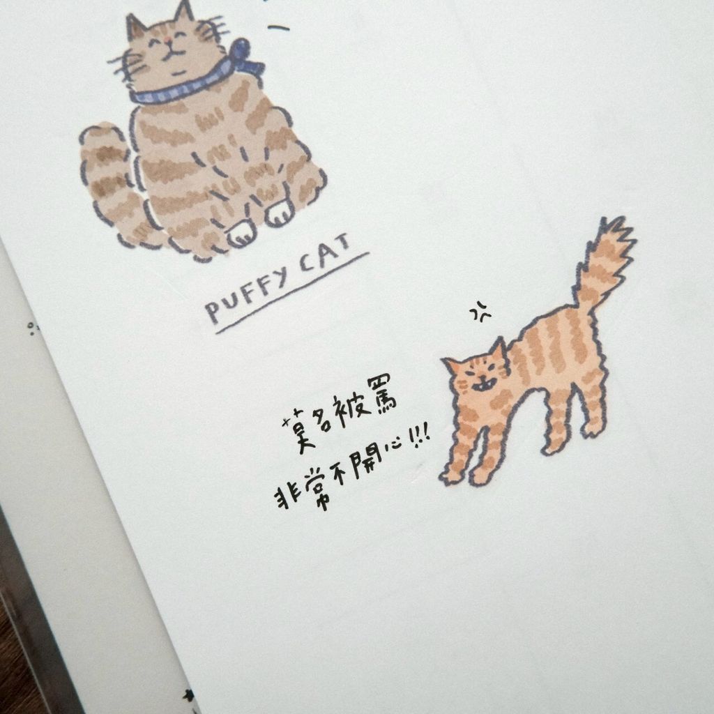 LINE_ALBUM_2026227_260227_24