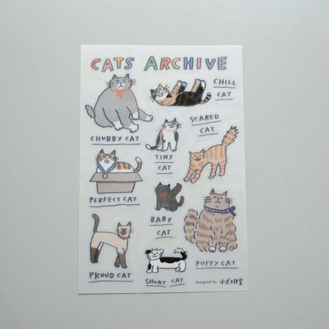 LINE_ALBUM_2026227_260227_22