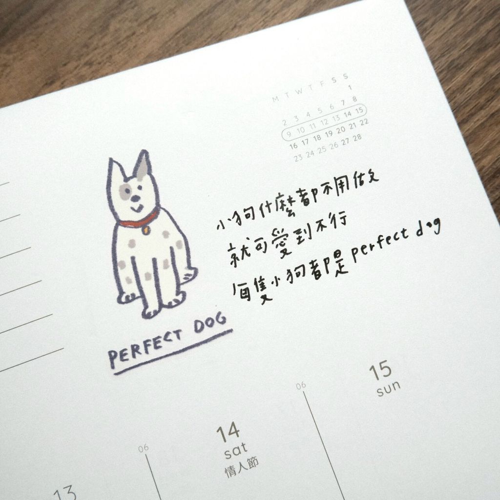 LINE_ALBUM_2026227_260227_27