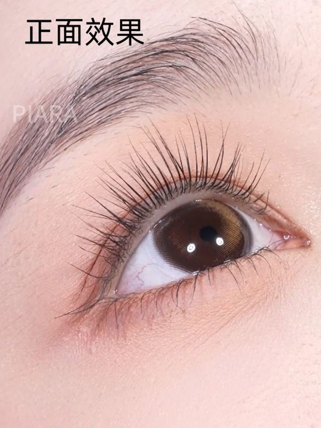 这支睫毛膏刷完就是根根分明的太阳花！！_5_PIARA佩冉_来自小红书网页版