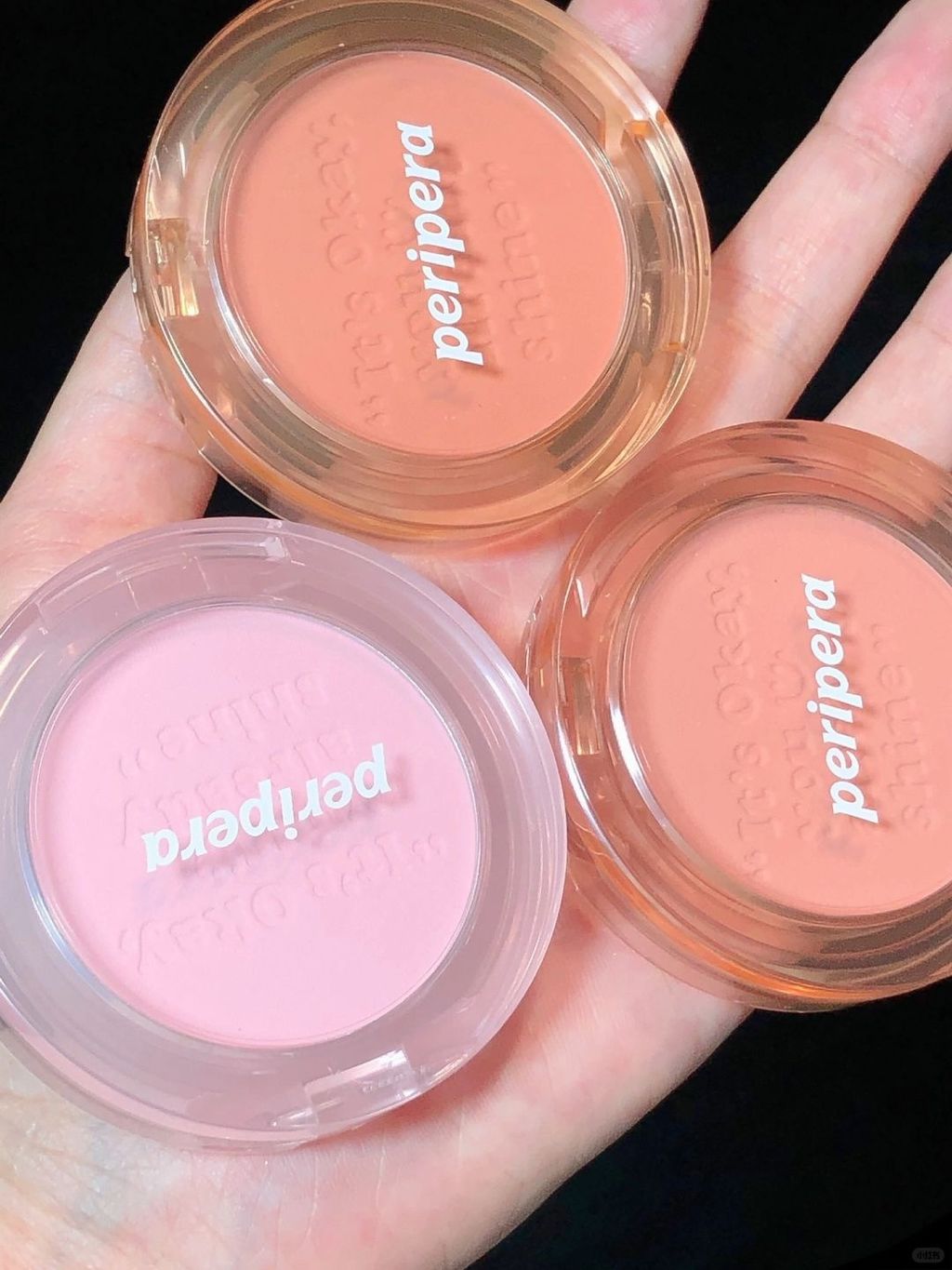 🍈蜜瓜家族添新朋友喽~_2_我有猫啦_来自小红书网页版