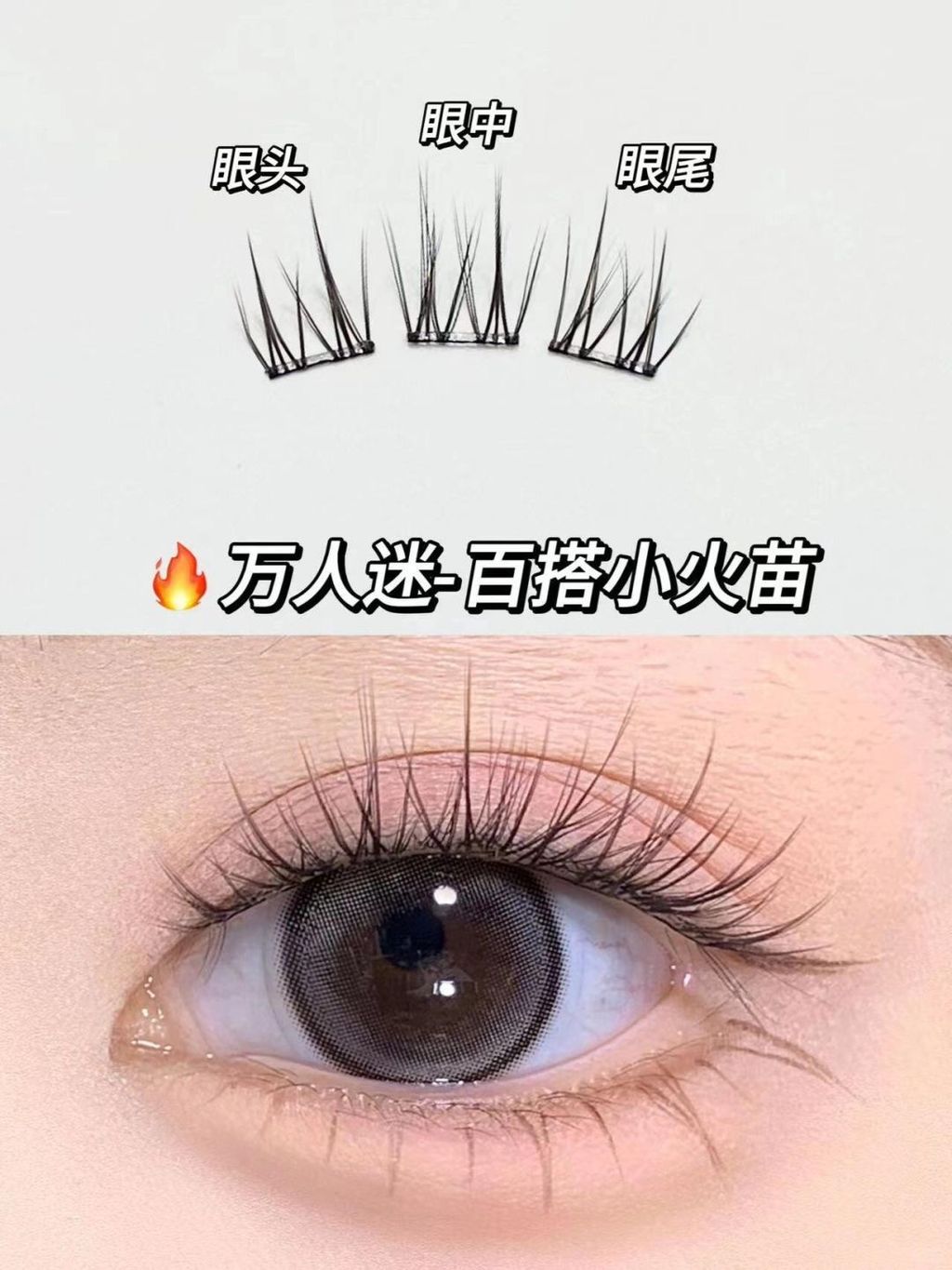 💗一张图看懂你更适合哪款免胶假睫毛_3_咪咪万事屋_来自小红书网页版
