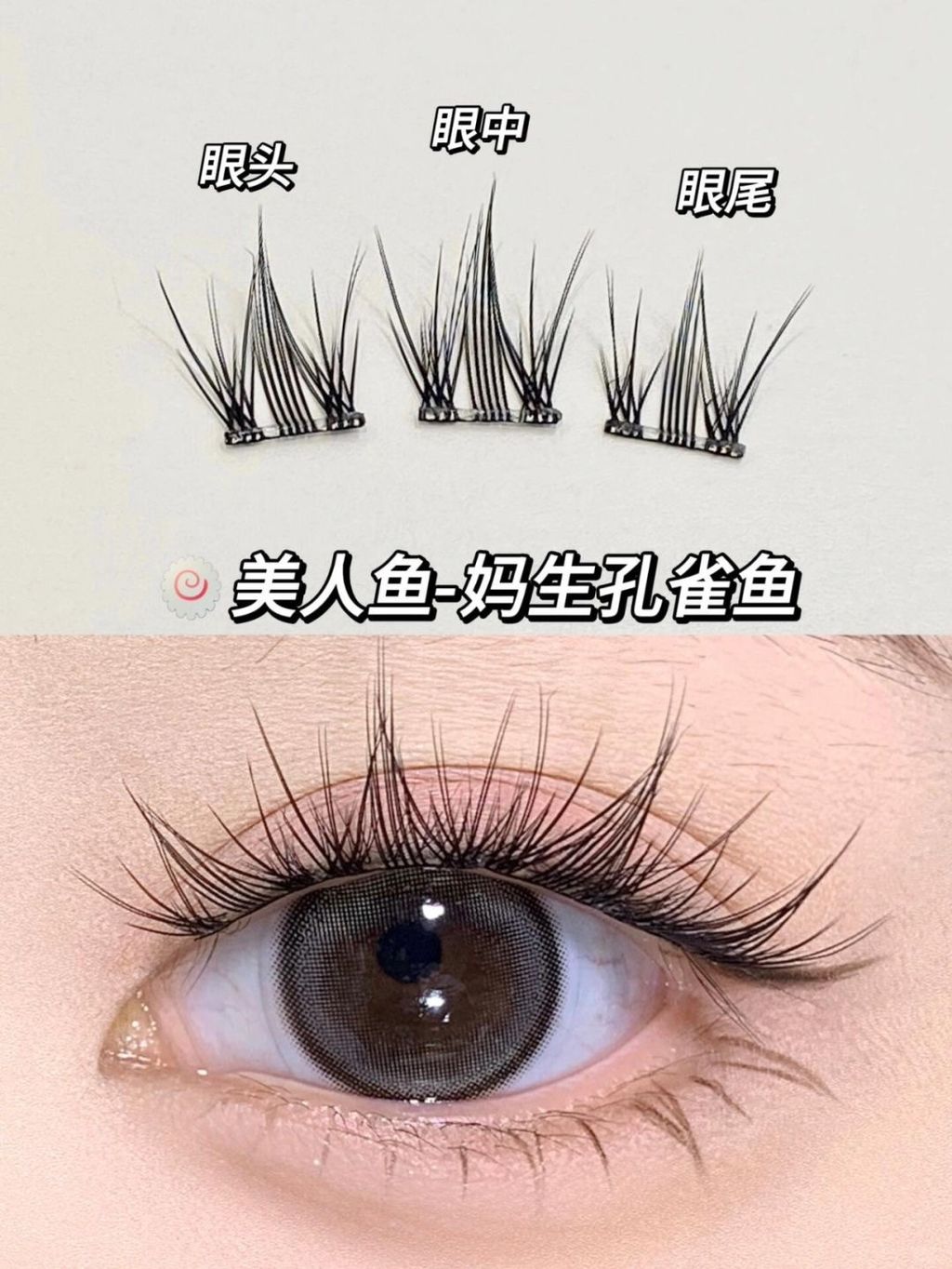 💗一张图看懂你更适合哪款免胶假睫毛_7_咪咪万事屋_来自小红书网页版