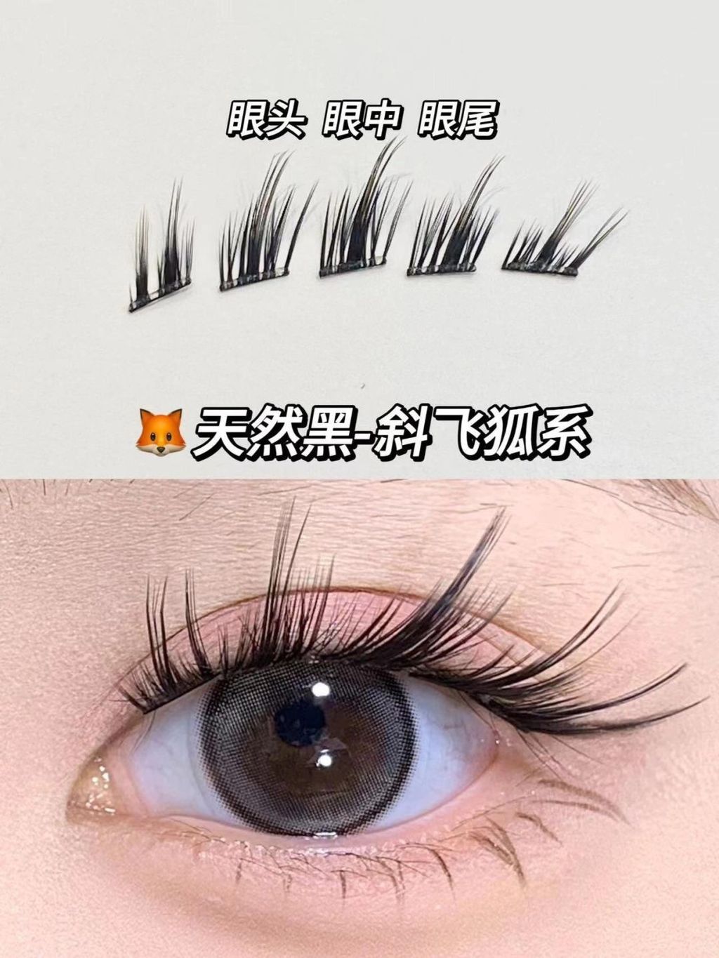 💗一张图看懂你更适合哪款免胶假睫毛_9_咪咪万事屋_来自小红书网页版