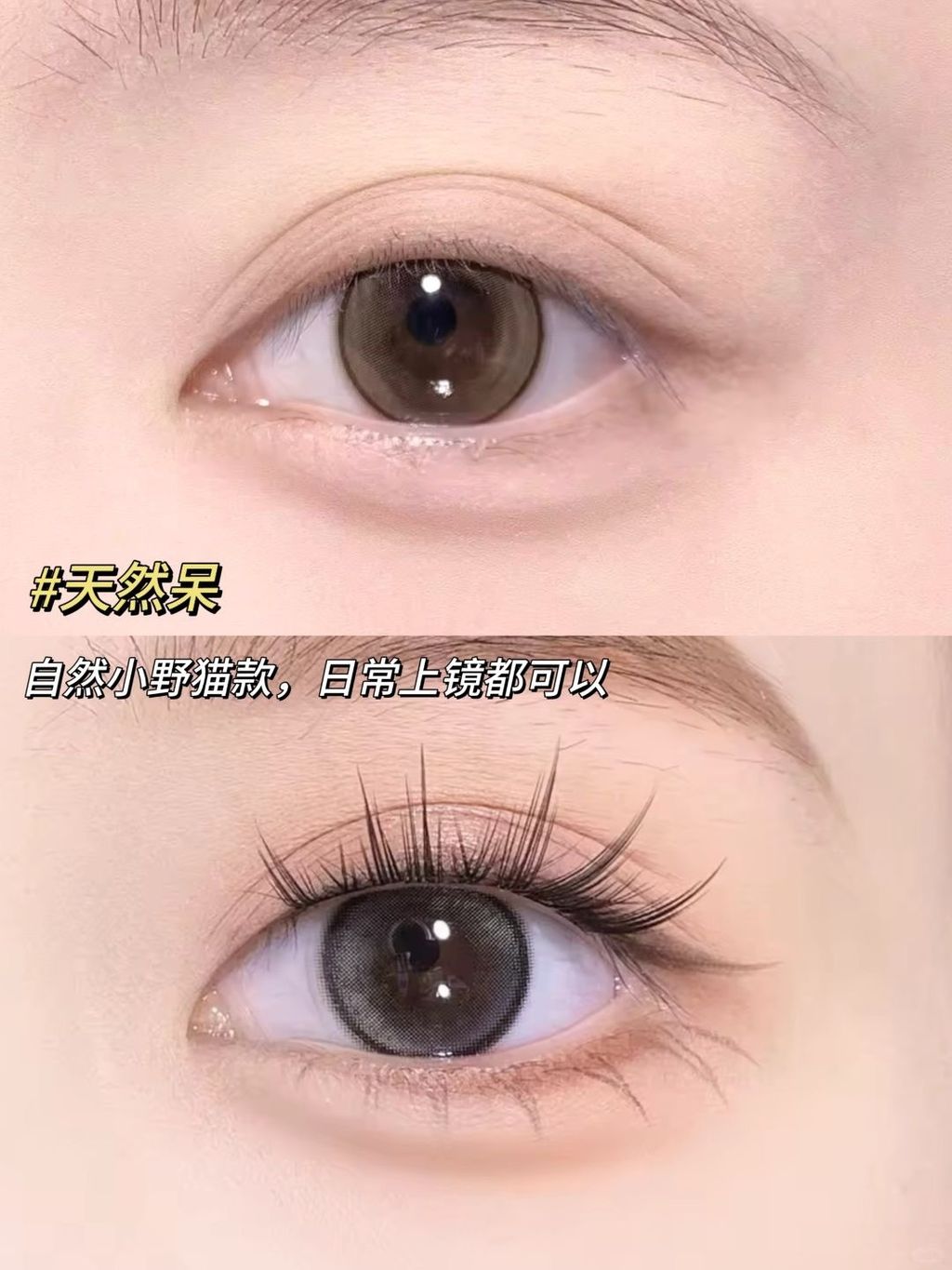 淡颜人好爱这四款免胶假睫毛💕好看又方便～_3_FLORTTE 花洛莉亚_来自小红书网页版