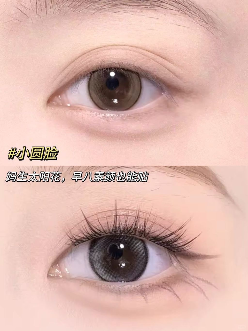 淡颜人好爱这四款免胶假睫毛💕好看又方便～_2_FLORTTE 花洛莉亚_来自小红书网页版