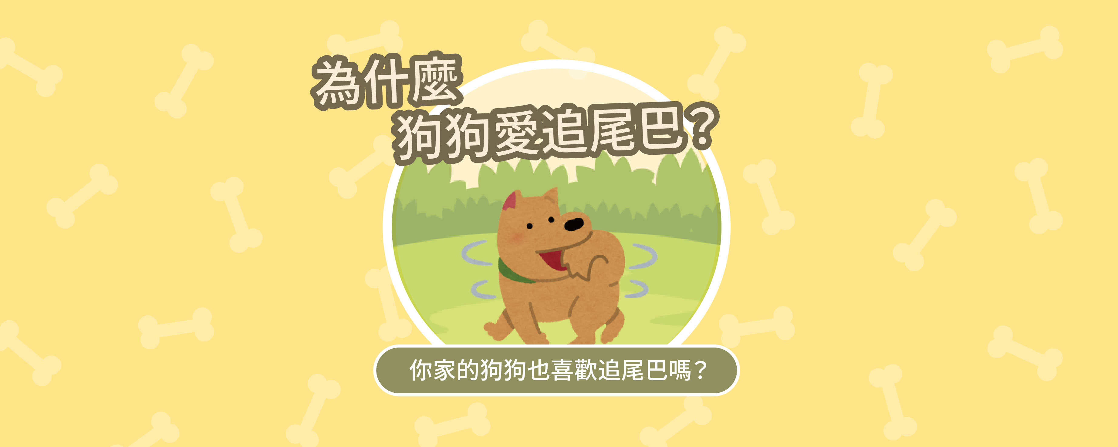 為什麼狗狗愛追尾巴❓
