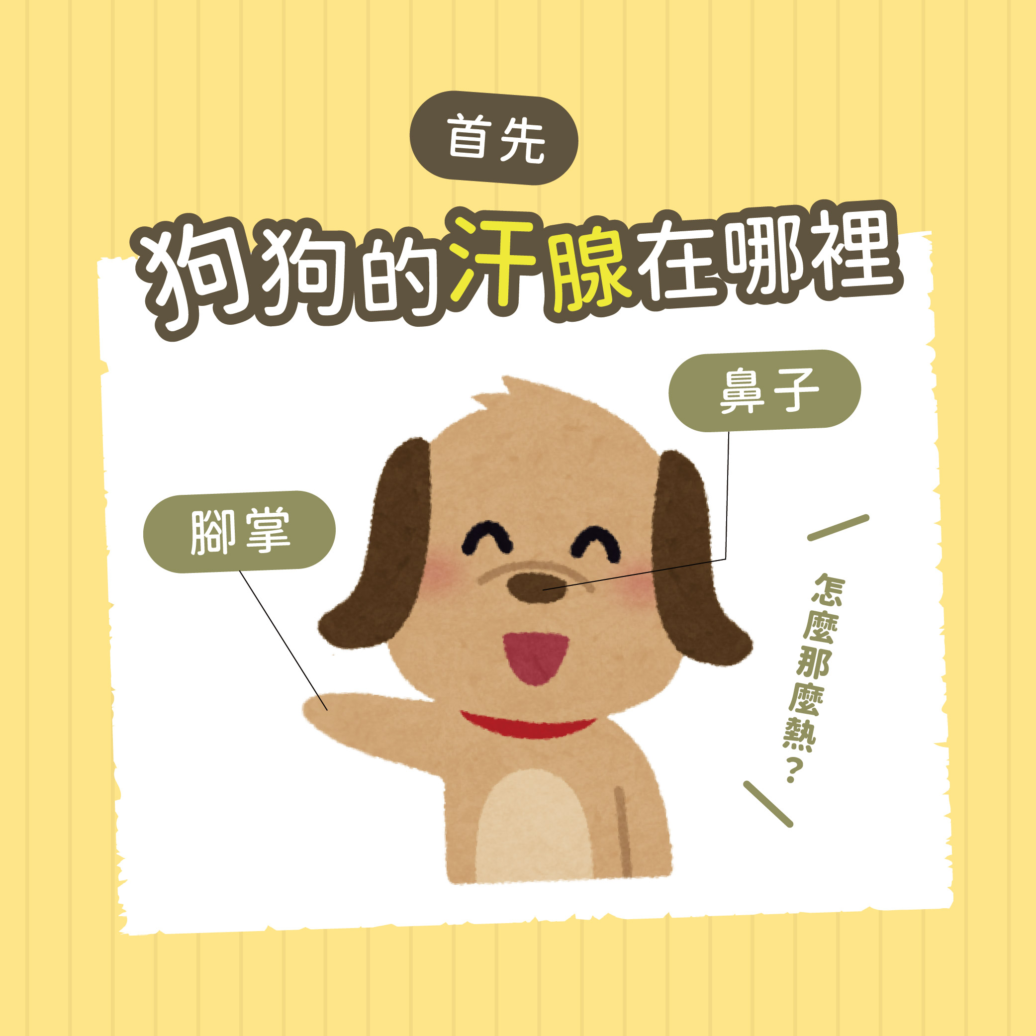 20250306-狗狗到底會不會流汗_工作區域 1 複本_0