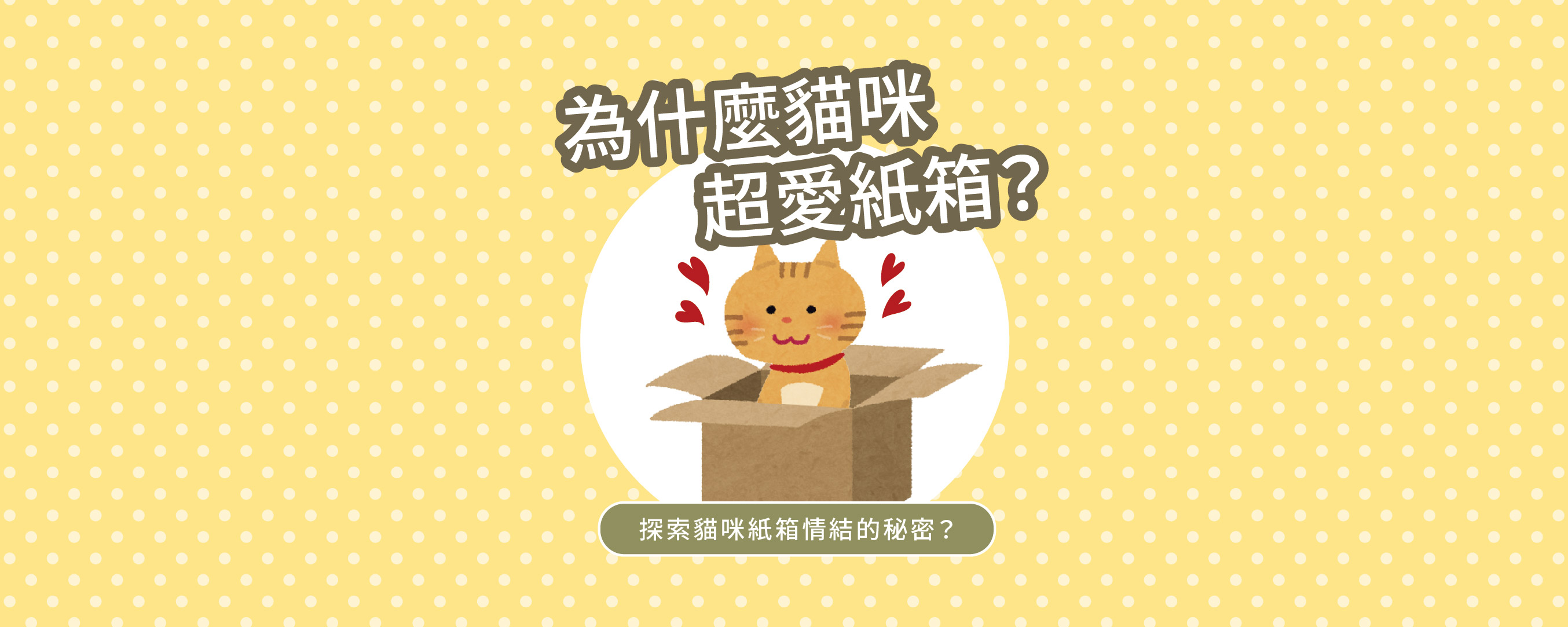 📦 為什麼貓咪超愛紙箱?