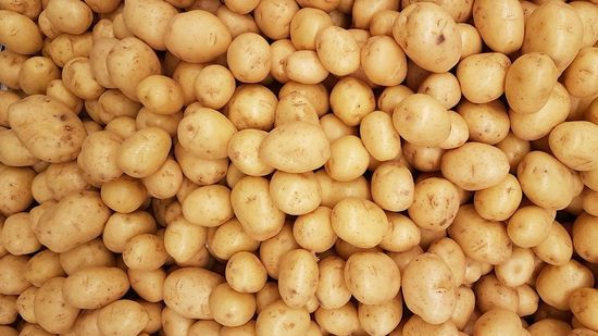 澳洲紅白皮馬鈴薯 | 靖成蔬果 Jing Cheng｜進口蔬果批發