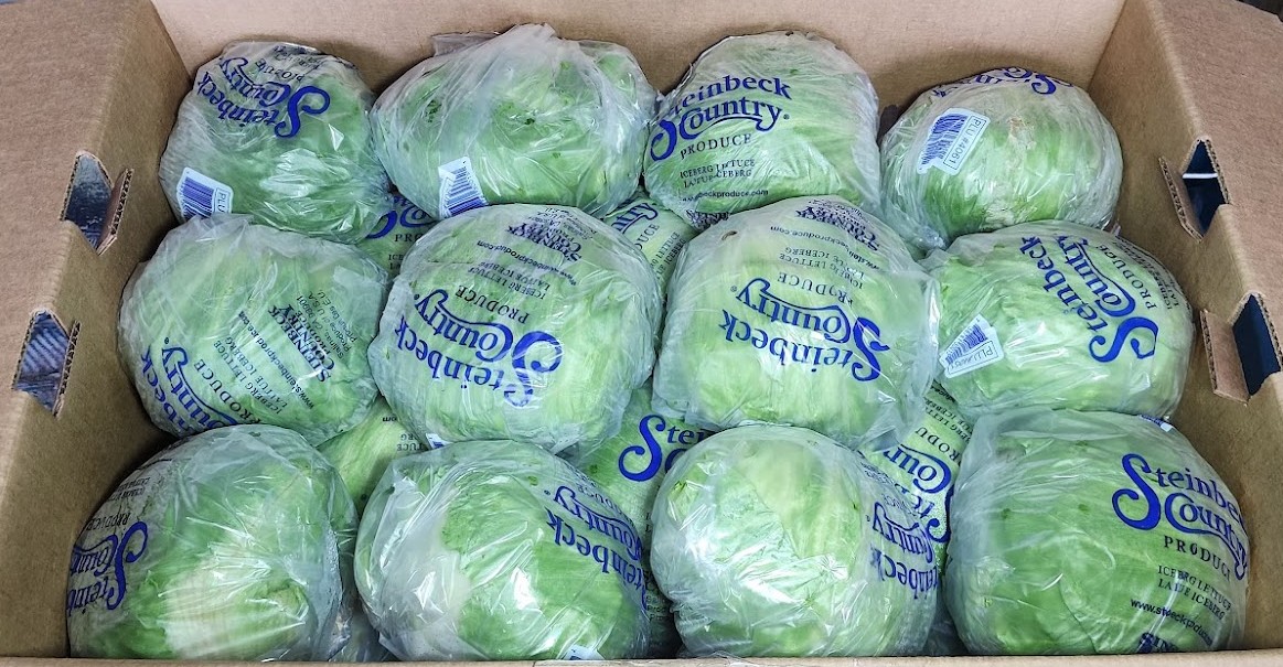 美國／台灣本產美生菜 Iceberg Lettuce | 靖成商行 Jing Cheng｜進口蔬果批發零售