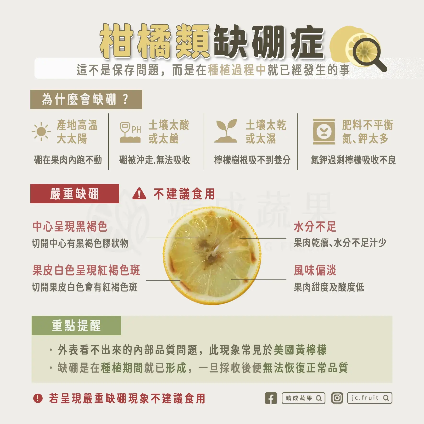 黃檸檬缺硼