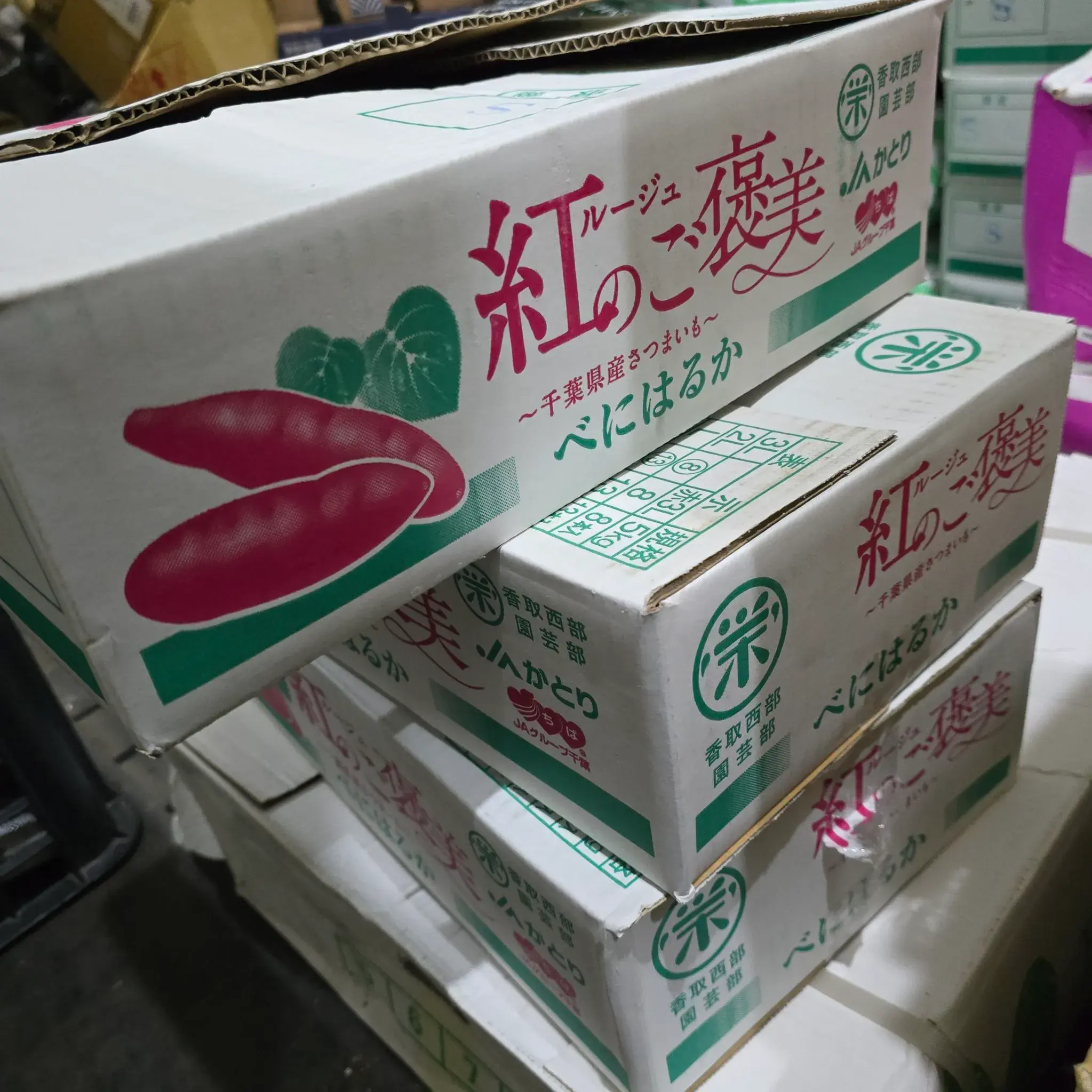 日本紅春香地瓜外箱